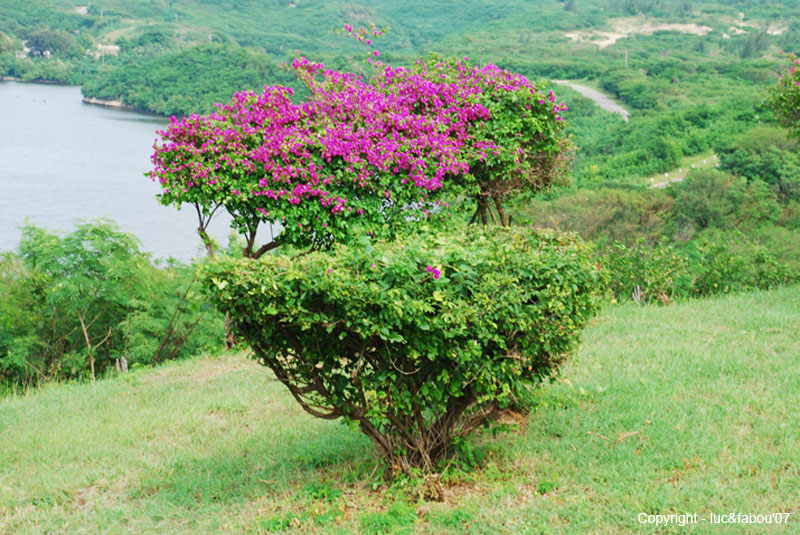 Santiago de Cuba 283