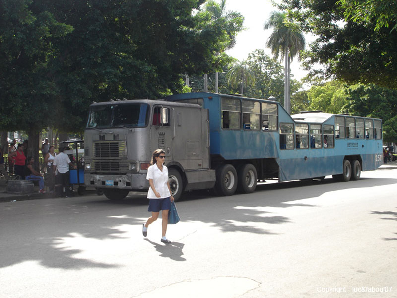La Havane 216